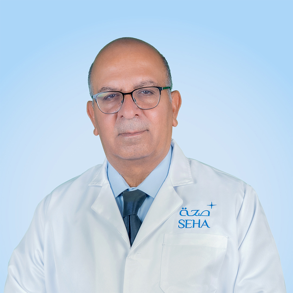 Salaheldin Khalil Issa